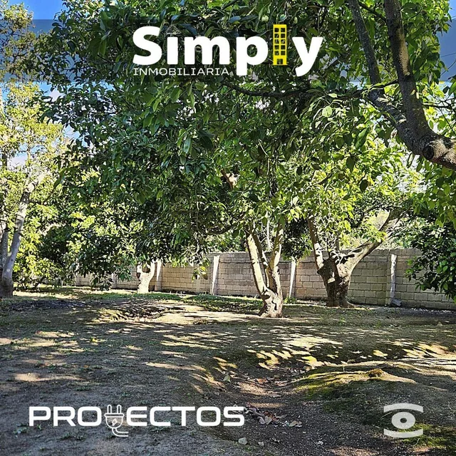 Terreno de 4000 m², Cerramiento, Totalmente Plano, con Agua de Riego, y 100 Plantas de Aguacate — imagen 2
