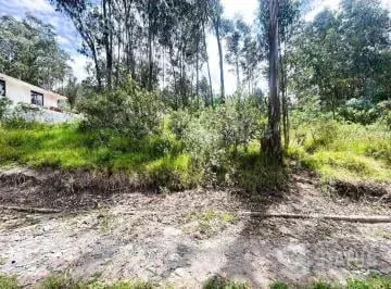Venta de Terreno Sector Conocoto - Cerca Colegio La Salle — imagen 4