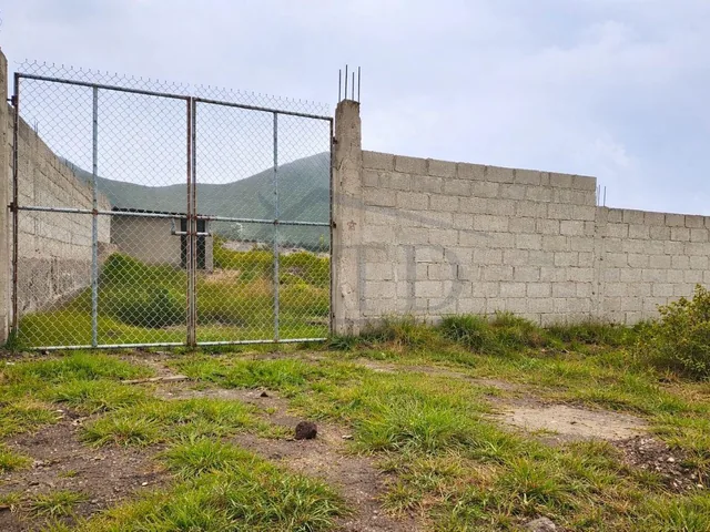Venta Terreno en Mitad del Mundo, Pablo Herrera. Provincia de Pichincha — imagen 3