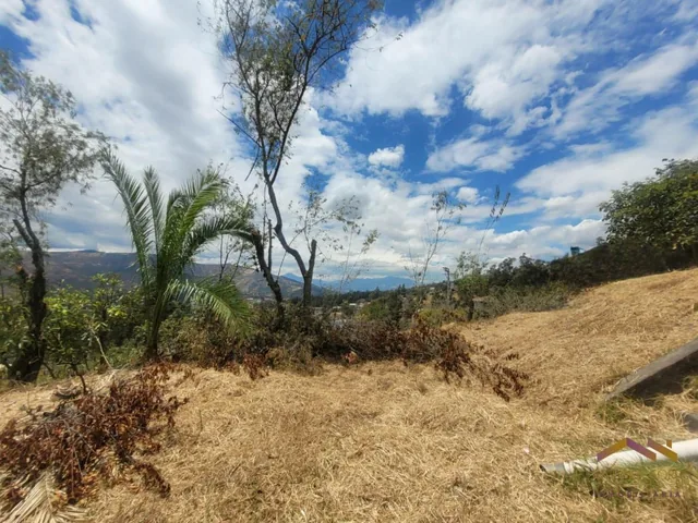 Terreno en Venta con Vista Sector Col Spellman — imagen 4
