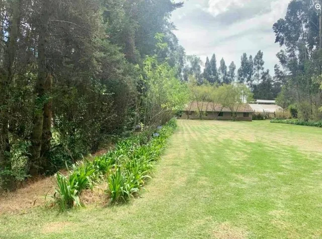 Terreno de 954 m² en Venta en Tabacundo — imagen 2