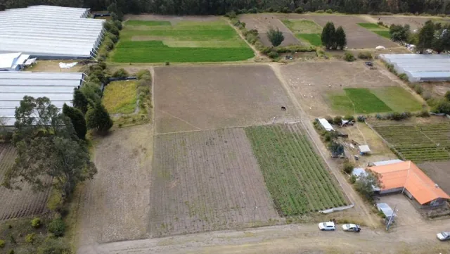 Vendo Terreno en Pedro Moncayo de 22,625 m² Sector La Esperanza — imagen 4