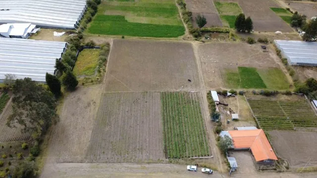 Vendo Terreno en Pedro Moncayo de 22,625 m² Sector La Esperanza — imagen 3