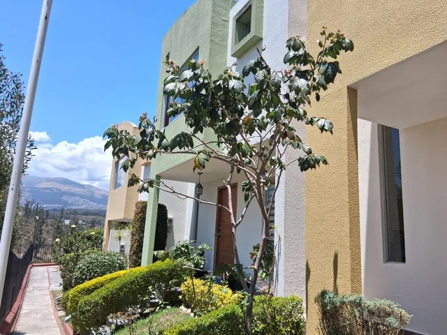 Vendo Casa Pusuqui 100 m² / 3d. Patio — imagen 4