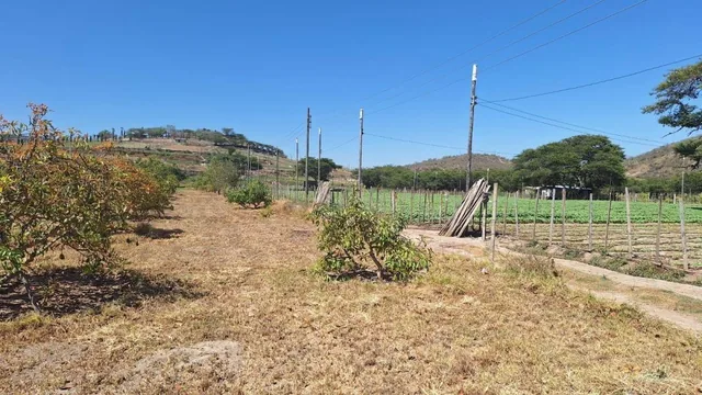 Terrenos de Venta Guayllabamba 1000 m² — imagen 4