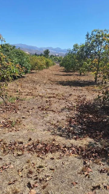 Terrenos de Venta Guayllabamba 1000 m² — imagen 3