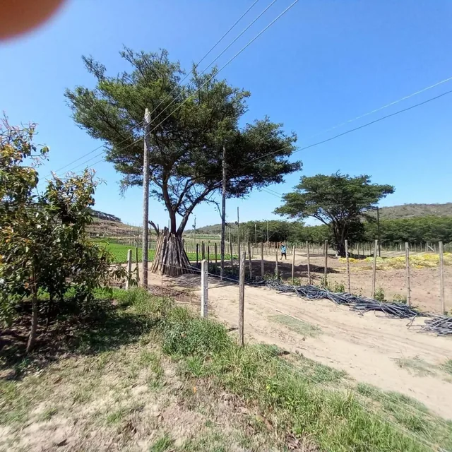Terrenos de Venta Guayllabamba 1000 m² — imagen 2