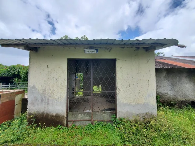 Terreno de 43 Hectáreas San Miguel de Lo Bancos, Mindo — imagen 2