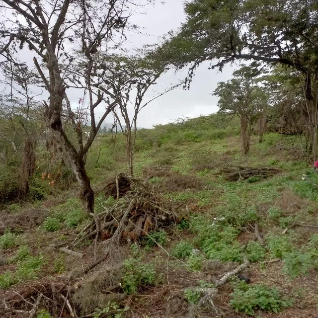 En Venta Terreno en Urbanización Las Peñas, Tumbaco — imagen 2
