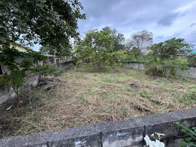 Terreno en Tonsupa — imagen 4