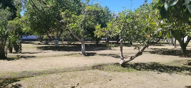 Tumbaco, Sector Hilacril, Vendo Terr. 10.600 m², Ideal Proyecto Inmobiliario Irm Cos Pb. 35%, 2 Pisos — imagen 5