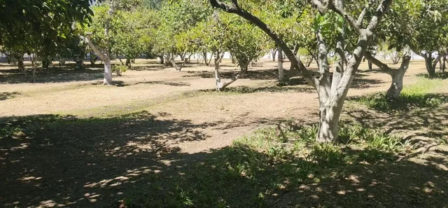Tumbaco, Sector Hilacril, Vendo Terr. 10.600 m², Ideal Proyecto Inmobiliario Irm Cos Pb. 35%, 2 Pisos — imagen 4