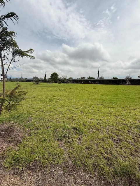 Vendo Excelente Terreno Puembo — imagen 5