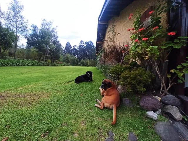 Espectacular Terreno de Casi 1.5 Has en Pleno Sangolquí — imagen 5