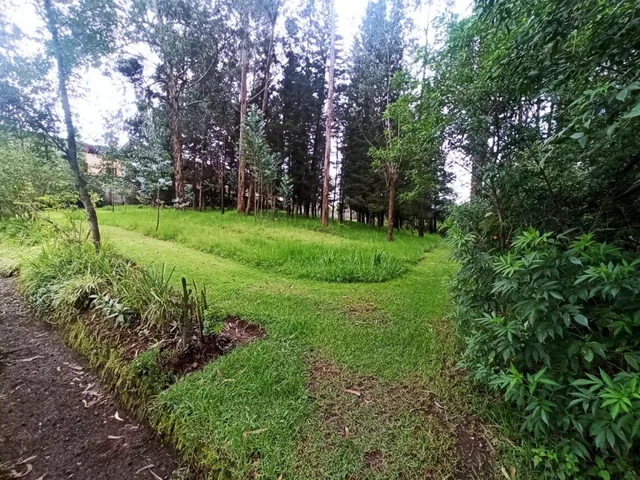 Espectacular Terreno de Casi 1.5 Has en Pleno Sangolquí — imagen 4