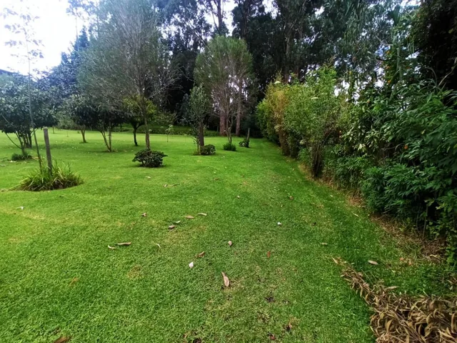 Espectacular Terreno de Casi 1.5 Has en Pleno Sangolquí — imagen 2