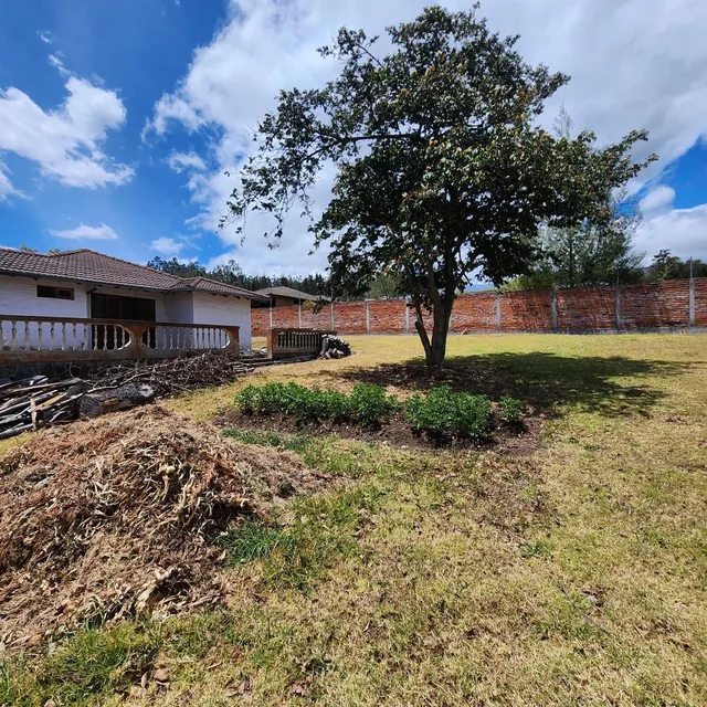 Vendo Terreno con Casa Una Sola Planta en Pifo — imagen 2