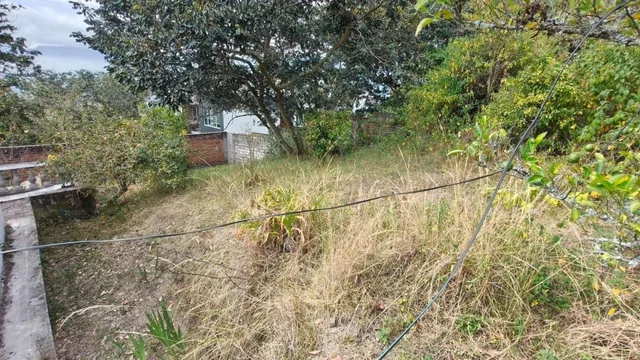 Terreno en San Juan de Cumbayá — imagen 5