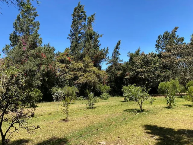 Terreno de Venta en Puembo — imagen 3