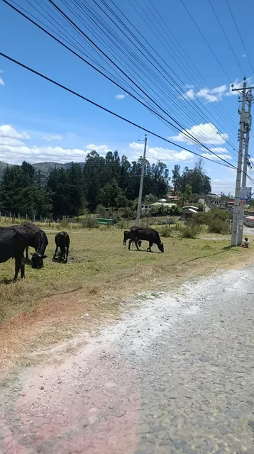 Terreno - Lote 3,747 m² Valle de Los Chillos — imagen 3