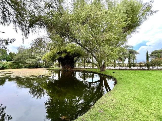 Puembo Sector Arrayanes - Vendo Terrenos Aaa en Urbanización — imagen 5