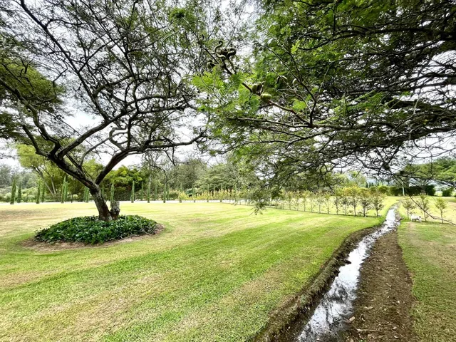 Puembo Sector Arrayanes - Vendo Terrenos Aaa en Urbanización — imagen 4