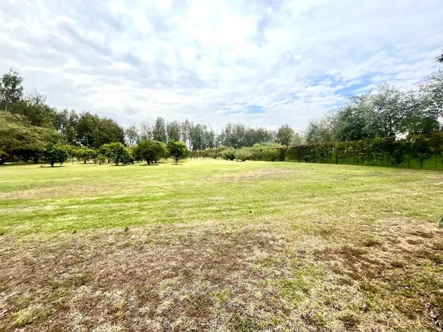 Puembo Sector Arrayanes - Vendo Terrenos Aaa en Urbanización — imagen 2