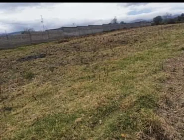 Terreno en Sangolqui — imagen 5