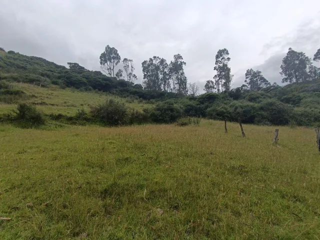 Terreno de 4980 m² en Venta en Alangasí. Provincia de Pichincha — imagen 5