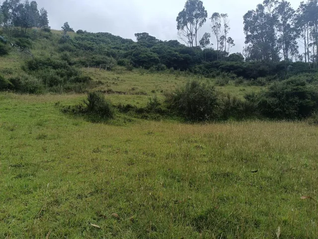 Terreno de 4980 m² en Venta en Alangasí. Provincia de Pichincha — imagen 4
