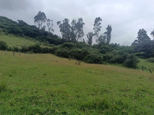 Terreno de 4980 m² en Venta en Alangasí. Provincia de Pichincha — imagen 3