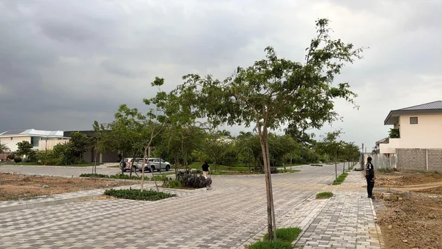 En Venta Terreno Exclusivo en Cantabria, Isla Mocoli, Samborondon L. Torres, Guayas — imagen 4
