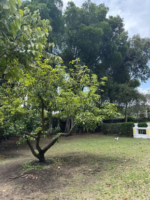 Terreno de 5085 m² en Venta en Tumbaco — imagen 5
