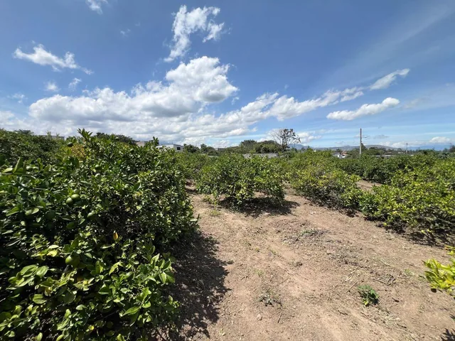 En Venta Lote de Terreno de 2000 m² en Urbanizacion Privada - Puembo — imagen 5
