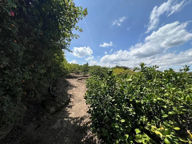 En Venta Lote de Terreno de 2000 m² en Urbanizacion Privada - Puembo — imagen 3