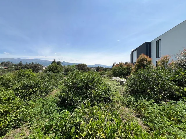 En Venta Lote de Terreno de 2000 m² en Urbanizacion Privada - Puembo — imagen 2