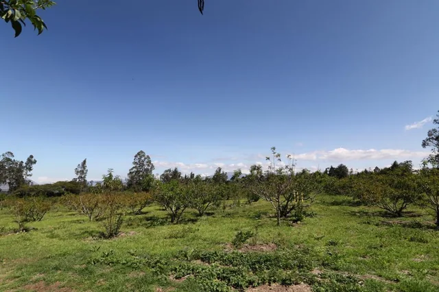 Terrenos Planos Ideal Para Inversionistas. Provincia de Pichincha — imagen 2