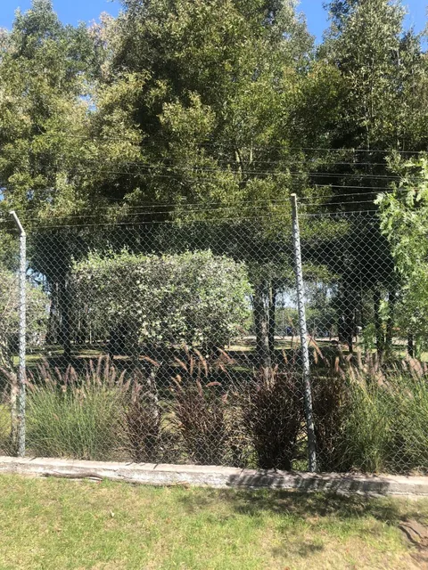 Terreno en Venta de 2525 m² en Hilacril con Guardianía — imagen 5