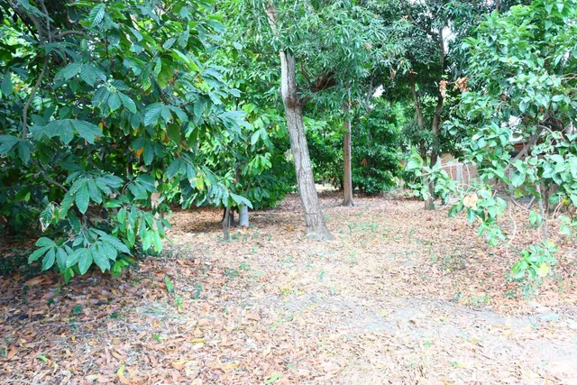 Lote en Venta 2.050 m² Portoviejo, Manabí — imagen 3