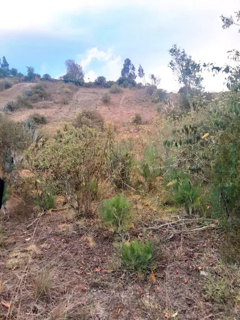Se Vende Terreno con Servicios Básicos, Latacunga, Cotopaxi — imagen 3