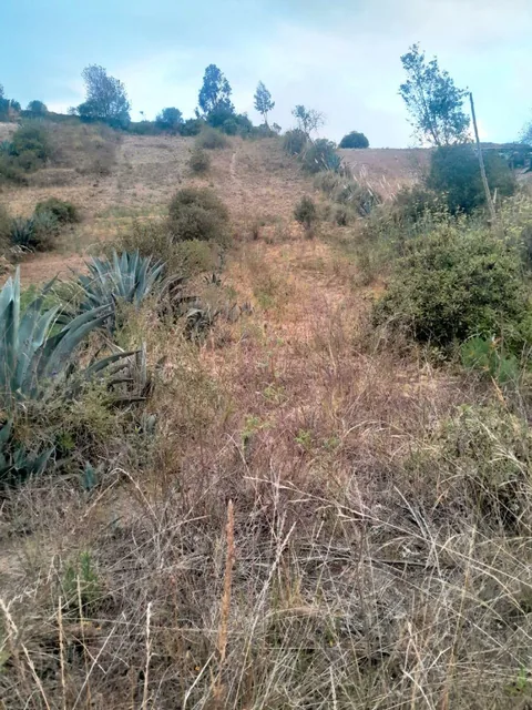Se Vende Terreno con Servicios Básicos, Latacunga, Cotopaxi — imagen 2