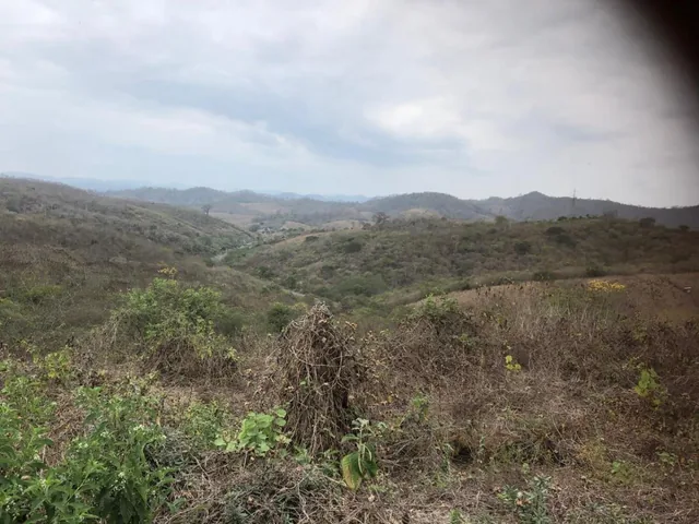 Terreno en Venta – Sector El Zapallo, Portoviejo, Manabí — imagen 5