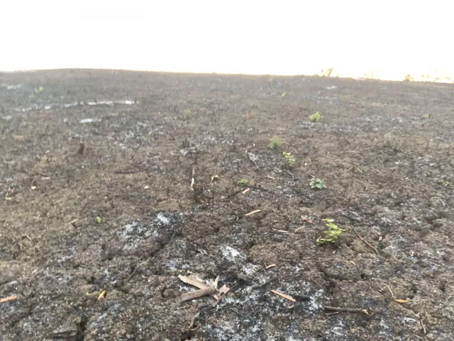 Terreno en Venta – Sector El Zapallo, Portoviejo, Manabí — imagen 2