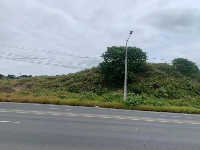 Vendo 7,2 Has Lotizadas en Sector Ballenita, Capaes Santa Elena — imagen 5