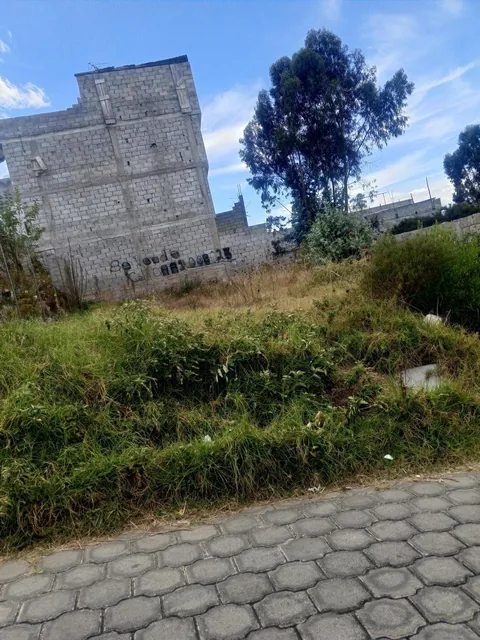 Vendo Terreno de 200 m Calderón — imagen 4