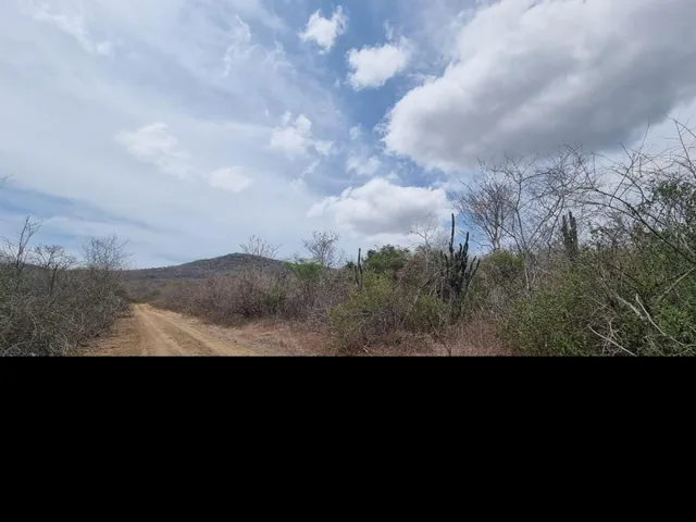 Has de Terrenos en Zapotal Comuna Buenos Aires, Guayas — imagen 5