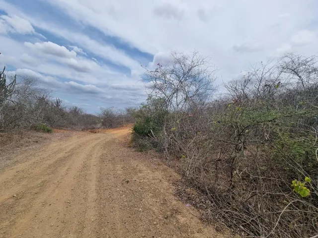 Has de Terrenos en Zapotal Comuna Buenos Aires, Guayas — imagen 4
