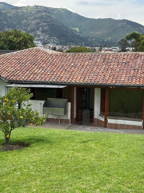 Ideal Para Constructores o Familia — imagen 4