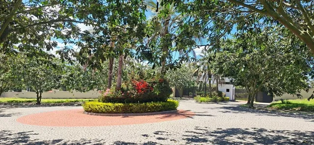 Terreno - Puembo — imagen 3