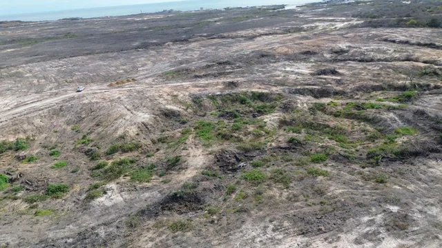 Venta de Terreno Turístico Comercial en Playas Engabao con 40000 m², Guayas — imagen 4